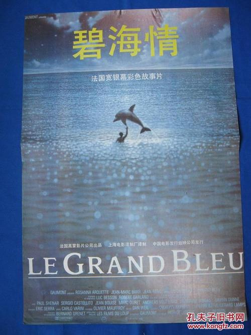南安普敦城市学院学历认证